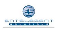 EnTelegent Solutions