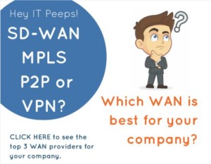 SD-WAN, MPLS, P2P or VPN? [Infographic]
