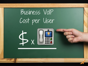 Business VoIP Cost per User